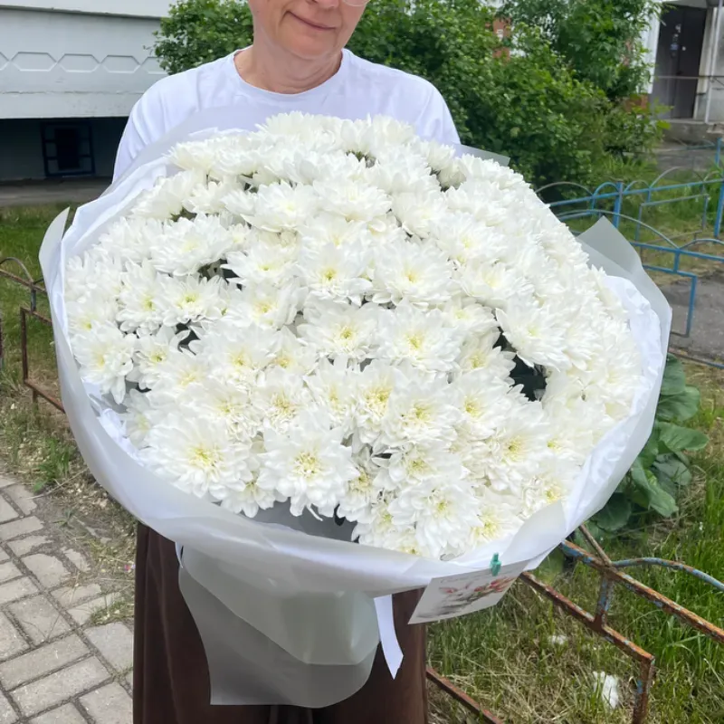 «Снежная красота»