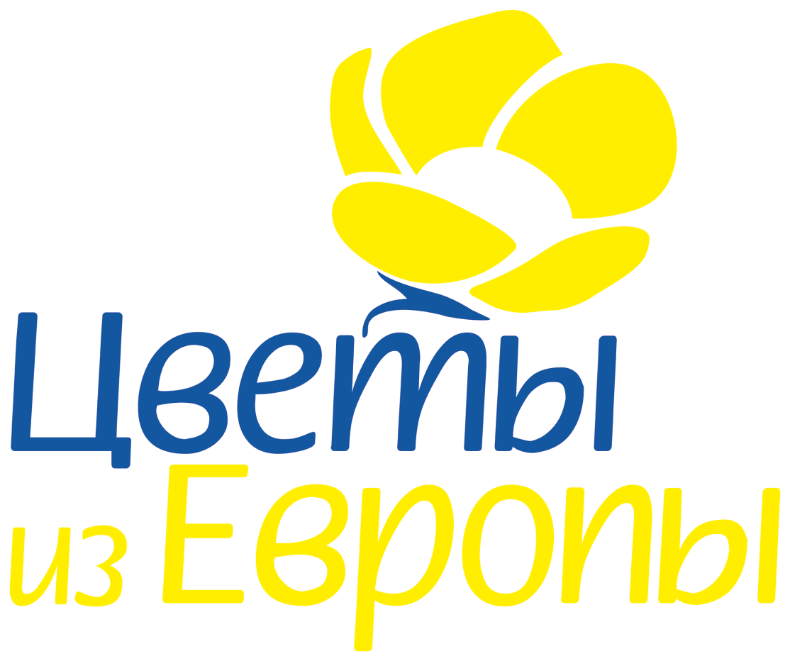 Цветы из Европы