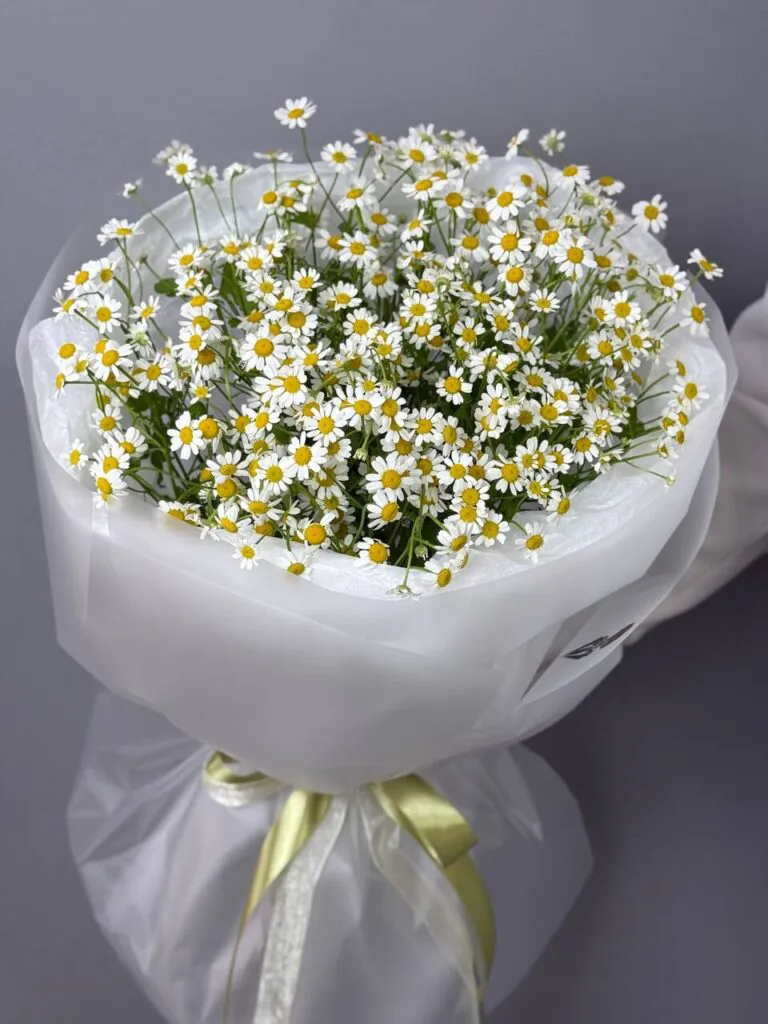 Ромашки (15)