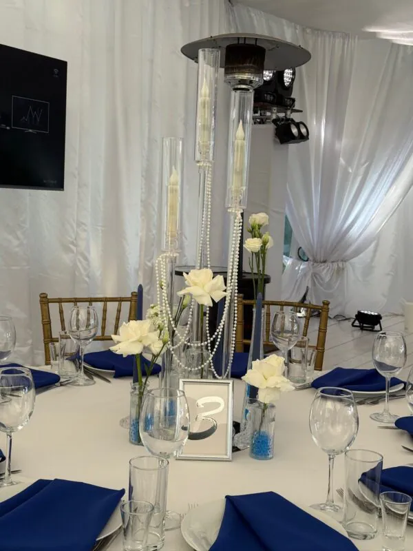 Свадьба в шатре «Панорама» — синий и белый, оформление свадьбы — фото 10